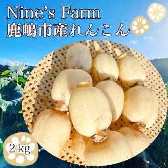 ＼先行予約・数量限定／オーガニック肥料で育てたれんこん 2kg (8月上旬発送開始予定)【茨城県 鹿嶋市 有機栽培 オーガニック レンコン 蓮根 野菜 根菜 産地直送 有機野菜 】（KBJ-3）