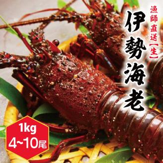 鹿嶋産地直送★[生]伊勢海老 2kg 4?10尾 伊勢エビ[発送期間10月〜5月](KBL-12)