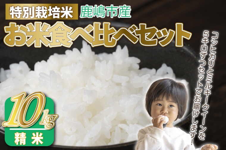 令和7年産 お米 食べ比べセット 精米 (ミルキークイーン×5kg コシヒカリ×5kg 計10kg )[こしひかり 食べ比べ 精米 茨城県 鹿嶋市 30000円以内](KAK-7)