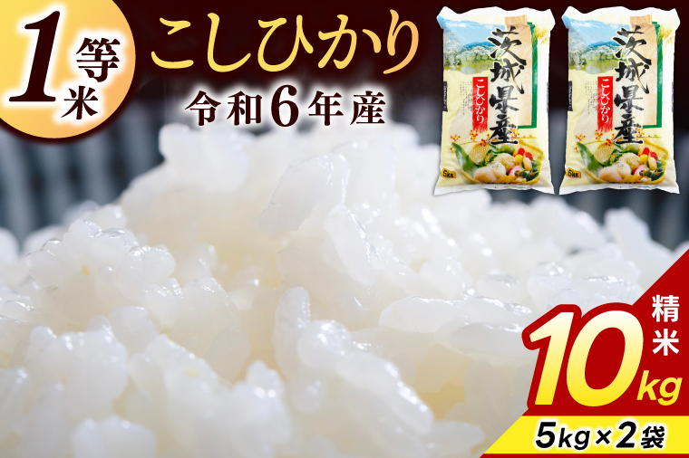 ★1等米★ コシヒカリ 10kg (5kg × 2袋)【令和6年産】米 精米 白米 こしひかり 茨城県 鹿嶋市 国産 送料無料 お米 ごはん おにぎり 冷めても 美味しい 粘り うまみ 厳選 出荷直前精米 ツヤ かおり うまい（KY-1）