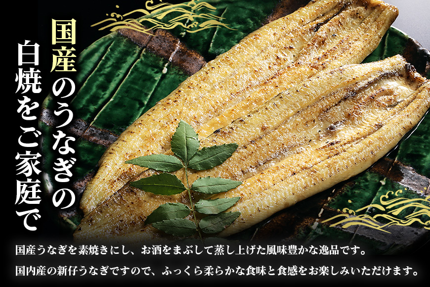 大きな国内産うなぎ白焼(酒蒸し) 140～160g 4尾 計560g以上 うなぎ 鰻 ウナギ 白焼 酒 蒸し 蒲焼 タレ 山椒 付き 簡単調理 贈答用 ギフト 内祝い 土用の丑の日 冷蔵 国産 茨城県 潮来市 (A23-032)
