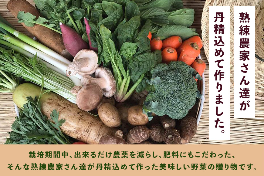 ＜白米 2kg＞『身体が喜ぶ野菜とお米』詰め合わせ おまかせセット 茨城県産 コシヒカリ 米 お米 ご飯 ごはん 栽培期間中農薬不使用 季節の野菜 セット 微生物農法 EM農法 有機栽培 産地直送 新鮮 家庭用 潮来はぐくみのもり 茨城県 潮来市 (A03-006)