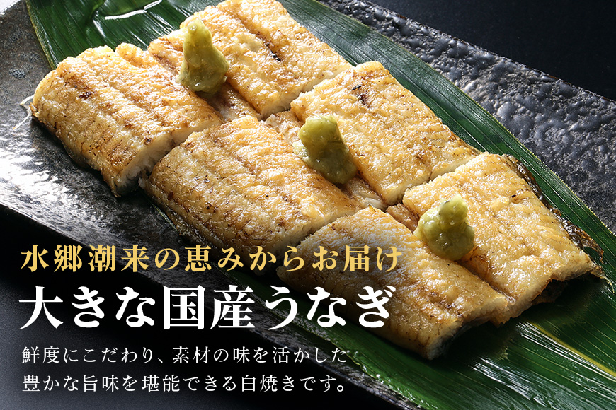増田川魚店うなぎ白焼＜特上2本＞ うなぎ 白焼き 特上 2本 愛知県三河産 国産 ウナギ 鰻 しらやき タレ 山椒付き 炭火焼き 冷蔵便 贈答用 ギフト 家庭用 土用の丑 茨城県 潮来市 (A07-002)