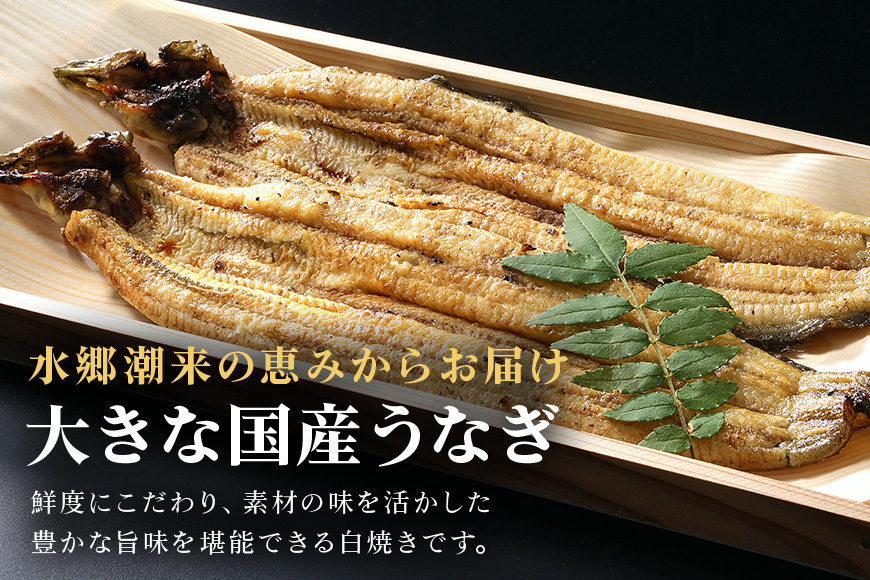 増田川魚店のうなぎ白焼＜大3本＞ うなぎ 白焼き 愛知県三河産 国産 ウナギ 鰻 炭火焼き しらやき ふっくら仕上げ 新鮮 活き締め 贈答用 ギフト 冷蔵配送 茨城県 潮来市 (A07-005)