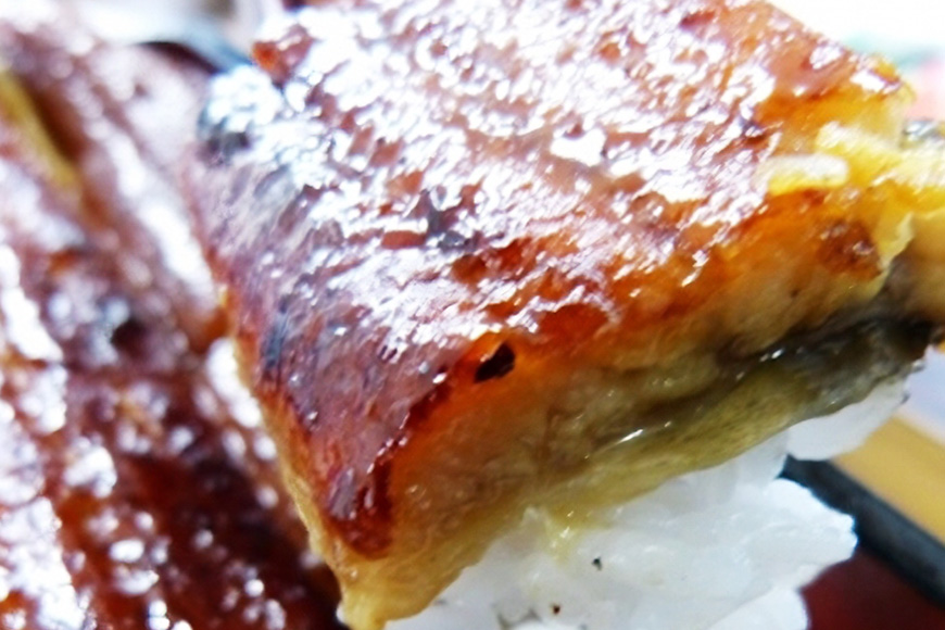 超特大!やわらか 国内産うなぎ蒲焼 220～250g 1尾 肉厚ジューシー 国産ブランド鰻 ふっくら仕上げ 蒲焼きのタレ・山椒付き 湯煎で簡単調理 うな丼 うな重 ギフト 贈答用 冷蔵配送 茨城県 潮来市 (A23-003)