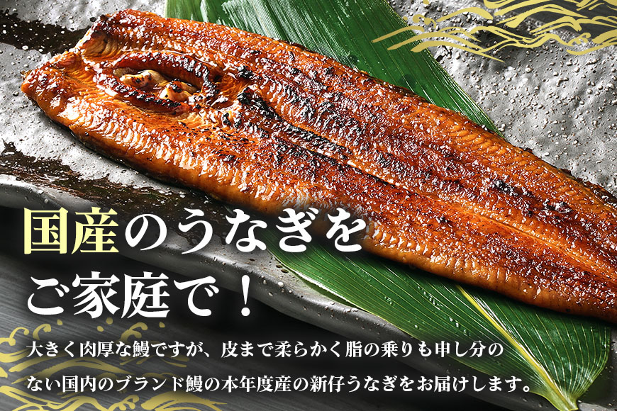 やわらか国内産 うなぎ蒲焼 食べ切りサイズ! 100～120g 4尾 計400g以上 ふっくら蒲焼き ブランド鰻使用 秘伝のタレ・山椒付き 湯煎で簡単調理 うな丼 ちらし寿司 贈答用 ギフト 冷蔵配送 茨城県 潮来市 (A23-010)