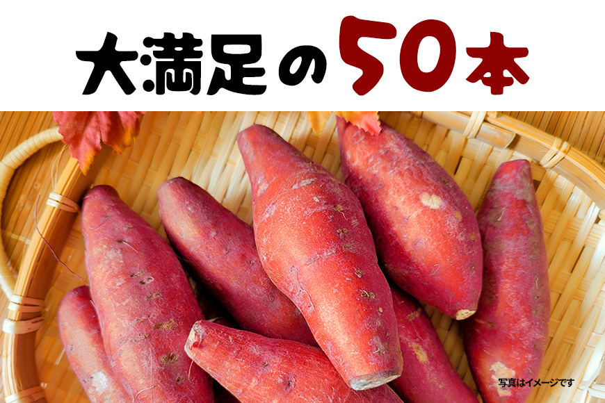 紅はるか 冷凍焼き芋 50本 (合計8～9kg) 電子レンジ対応袋使用 茨城県産 さつまいも 個包装 遠赤外線焼き上げ シャーベット風 焼き芋スムージー 焼き芋ラテ イベント 催事用 大容量 茨城県 潮来市 (A40-005)