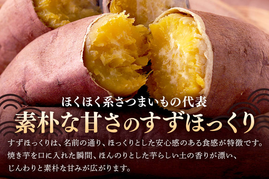 さつまいも すずほっくり 約10kg 無選別 (L～Sサイズ) 茨城県産 ホクホク 食感 焼き芋 天ぷら 大学芋 しっとり 舌触り 自然の甘み 野菜 サツマイモ 茨城県 潮来市 (A52-002)