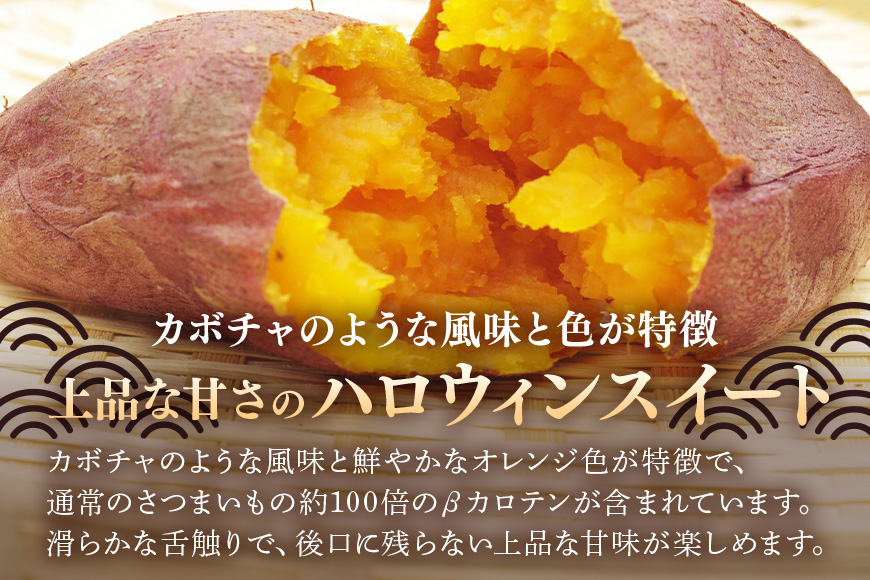 さつまいも ハロウィンスイート 約5kg 無選別(L～Sサイズ) 茨城県産 カボチャ 風味 焼き芋 お菓子 ハロウィン 自然の甘み スイーツ 野菜 サツマイモ 茨城県 潮来市 (A52-005)