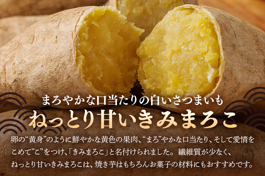 さつまいも きみまろこ 約5kg 無選別(L～Sサイズ) 茨城県産 卵 黄身 肉色 まろやか 口当たり 焼き芋 お菓子 白い皮のさつまいも 自然の甘み スイーツ 野菜 サツマイモ 茨城県 潮来市 (A52-006)