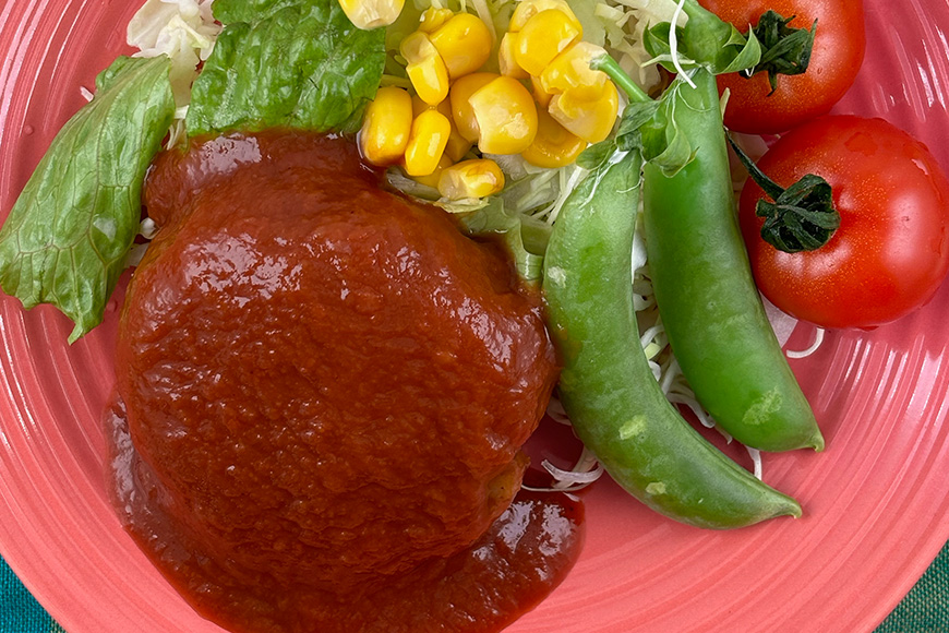 国産有機大豆ミートハンバーグ 100g×10パック 植物性原料使用 ヴィーガン対応 JAS認証取得 お肉のような食感 ボリューム満点 健康志向 ヘルシー食品 冷凍保存 茨城県 潮来市 (A61-001)