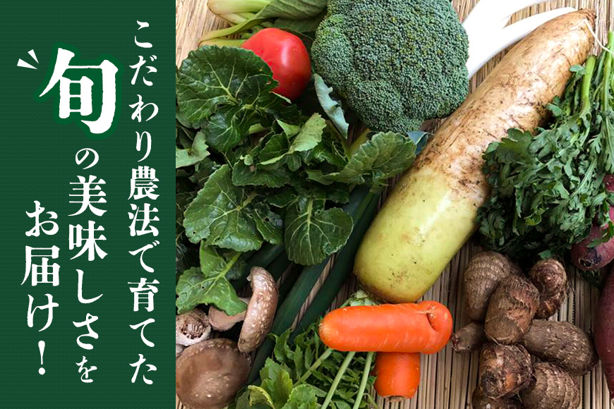 『身体が喜ぶ野菜』詰め合わせ ( おまかせ 10～12品) 野菜 詰合せ 詰め合わせセット お任せ 季節の野菜 セット 栽培期間中農薬不使用 有機栽培 微生物農法 EM農法 露地栽培 産地直送 新鮮 野菜ボックス ギフト 家庭用 茨城県 潮来市 (A03-001)