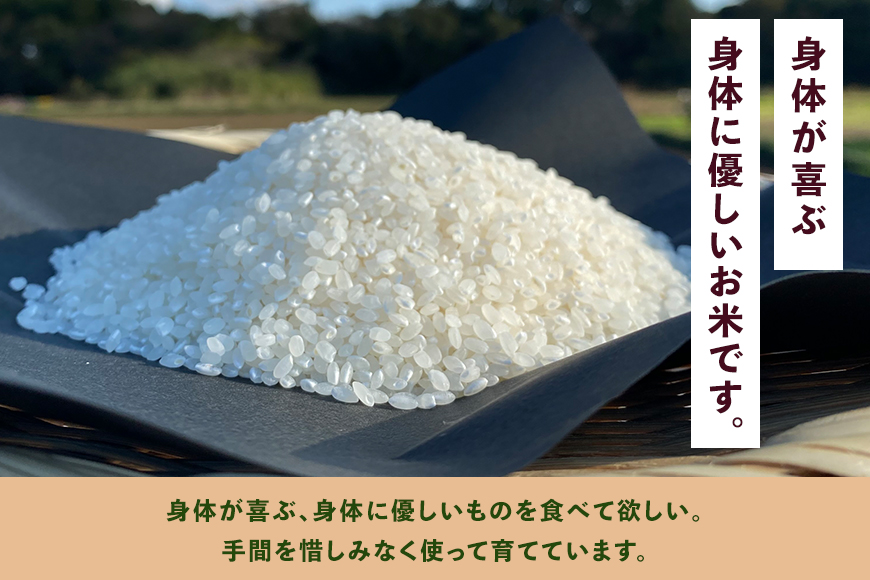 ＜白米 5kg＞『身体が喜ぶ野菜とお米』詰め合わせ おまかせセット 茨城県産 コシヒカリ 米 お米 ご飯 ごはん 栽培期間中農薬不使用 季節の野菜 セット 微生物農法 EM農法 有機栽培 産地直送 新鮮 家庭用 潮来はぐくみのもり 茨城県 潮来市 (A03-004)