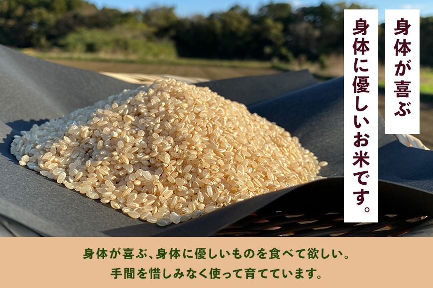 ＜玄米 2kg＞『身体が喜ぶ野菜とお米』詰め合わせ おまかせセット 茨城県産 コシヒカリ 米 お米 ご飯 ごはん 栽培期間中農薬不使用 季節の野菜 セット 微生物農法 EM農法 有機栽培 産地直送 新鮮 家庭用 潮来はぐくみのもり 茨城県 潮来市 (A03-005)