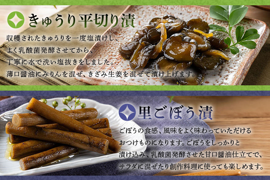 おつけもの 小袋4種詰め合わせ 80g×4パック ごぼう漬 ピリ辛らっきょう きゅうり平切り漬 里ごぼう漬 国産野菜使用 昔ながらの漬物 乳酸菌発酵 甘口醤油仕立て ご飯のお供 茨城県 潮来市 (A30-001)