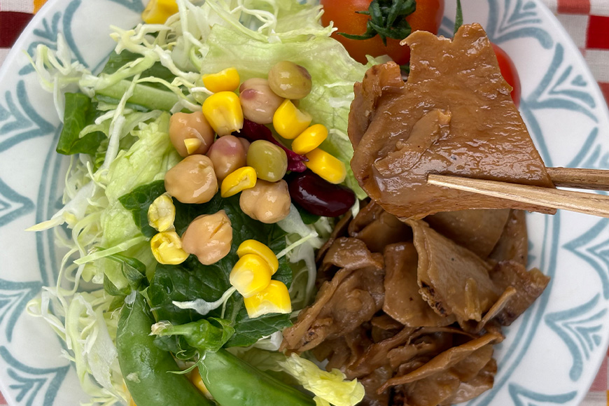 国産有機大豆ミート ハンバーグ ・ 生姜焼き 100g×各2pセット 植物性原料使用 ヴィーガン対応 JAS認証取得 お肉のような食感 ボリューム満点 健康志向 ヘルシー食品 冷凍保存 茨城県 潮来市 (A61-005)