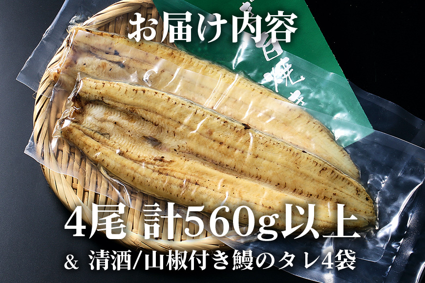 大きな国内産うなぎ白焼(酒蒸し) 140～160g 4尾 計560g以上 うなぎ 鰻 ウナギ 白焼 酒 蒸し 蒲焼 タレ 山椒 付き 簡単調理 贈答用 ギフト 内祝い 土用の丑の日 冷蔵 国産 茨城県 潮来市 (A23-032)