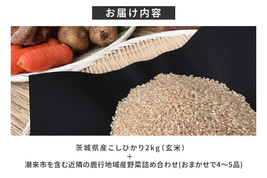 ＜玄米 2kg＞『身体が喜ぶ野菜とお米』詰め合わせ おまかせセット 茨城県産 コシヒカリ 米 お米 ご飯 ごはん 栽培期間中農薬不使用 季節の野菜 セット 微生物農法 EM農法 有機栽培 産地直送 新鮮 家庭用 潮来はぐくみのもり 茨城県 潮来市 (A03-005)