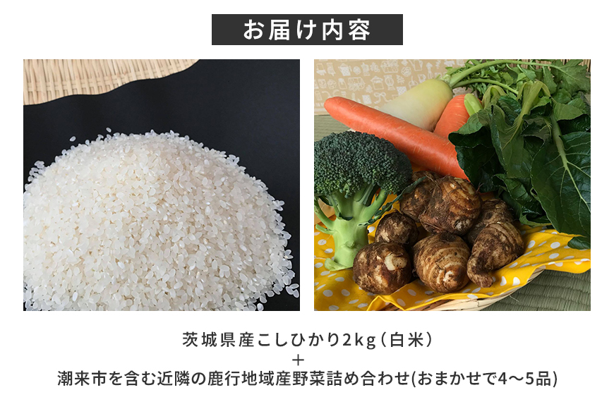 ＜白米 2kg＞『身体が喜ぶ野菜とお米』詰め合わせ おまかせセット 茨城県産 コシヒカリ 米 お米 ご飯 ごはん 栽培期間中農薬不使用 季節の野菜 セット 微生物農法 EM農法 有機栽培 産地直送 新鮮 家庭用 潮来はぐくみのもり 茨城県 潮来市 (A03-006)