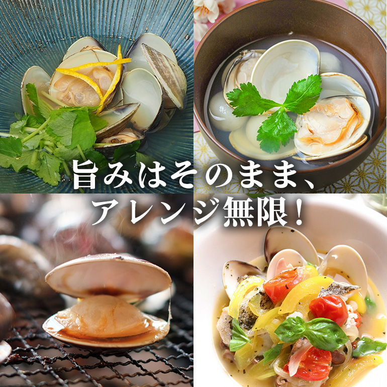 茨城県産 大粒はまぐり 加熱済 300g×4パック 国産 はまぐり ハマグリ 鹿島灘産 砂抜き不要 調理簡単 酒蒸し お吸い物 つくだ煮 貝専門店の厳選品 贈答用 ギフト 常温 茨城県 潮来市 (A14-002)