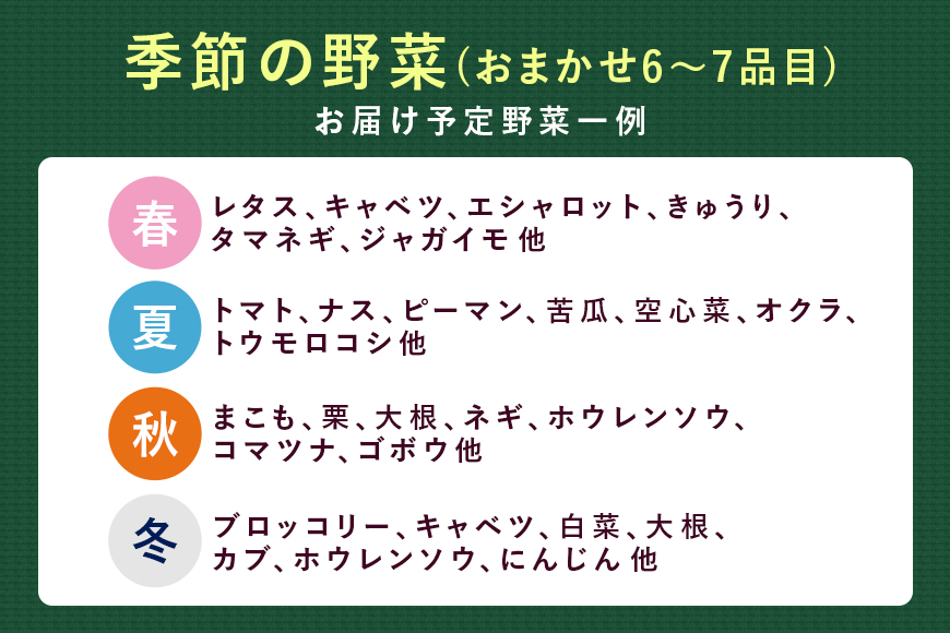 ＜ハーフサイズ＞ 『身体が喜ぶ野菜』詰め合わせ ( おまかせ ) 野菜 詰合せ 詰め合わせセット お任せ 季節の野菜 セット 栽培期間中農薬不使用 有機栽培 微生物農法 EM農法 露地栽培 産地直送 新鮮 野菜ボックス ギフト 家庭用 茨城県 潮来市 (A03-002)