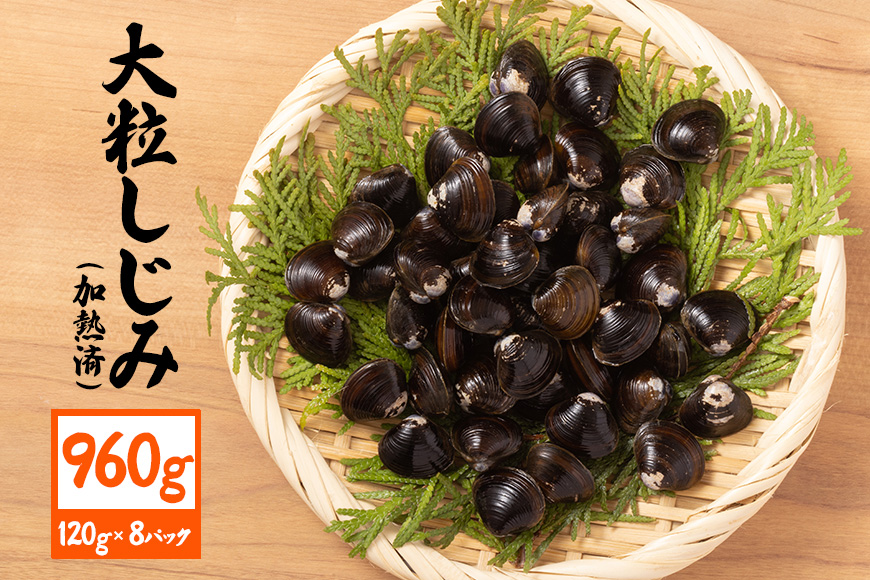 茨城県産 大粒しじみ 加熱済 120g×8パック 国産 しじみ シジミ 涸沼川産 砂抜き不要 調理簡単 味噌汁 すまし汁 つくだ煮 貝専門店の厳選品 贈答用 ギフト 常温 茨城県 潮来市 (A14-001)