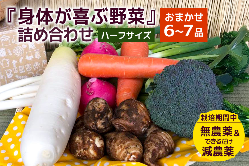 ＜ハーフサイズ＞ 『身体が喜ぶ野菜』詰め合わせ ( おまかせ ) 野菜 詰合せ 詰め合わせセット お任せ 季節の野菜 セット 栽培期間中農薬不使用 有機栽培 微生物農法 EM農法 露地栽培 産地直送 新鮮 野菜ボックス ギフト 家庭用 茨城県 潮来市 (A03-002)