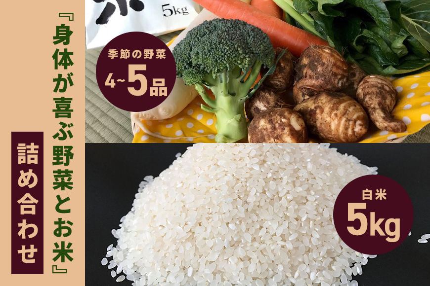 ＜白米 5kg＞『身体が喜ぶ野菜とお米』詰め合わせ おまかせセット 茨城県産 コシヒカリ 米 お米 ご飯 ごはん 栽培期間中農薬不使用 季節の野菜 セット 微生物農法 EM農法 有機栽培 産地直送 新鮮 家庭用 潮来はぐくみのもり 茨城県 潮来市 (A03-004)