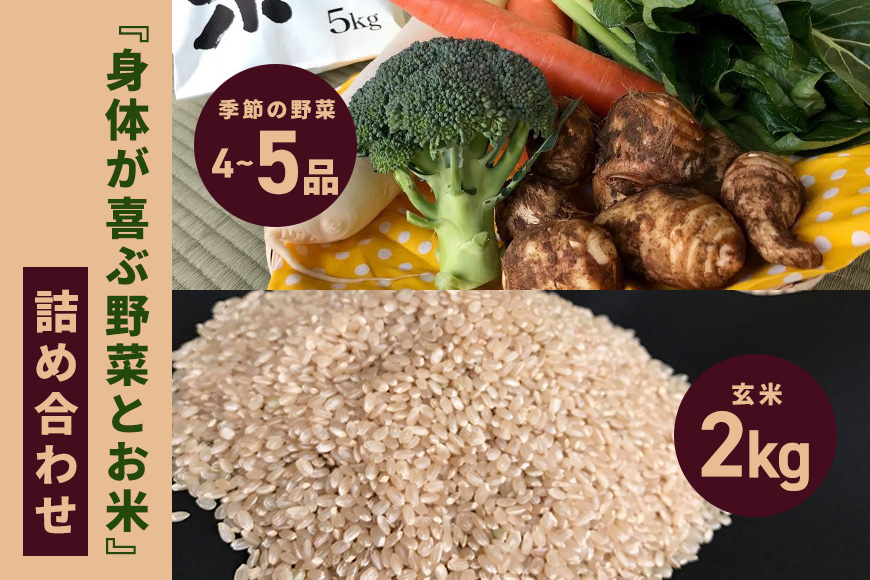 ＜玄米 2kg＞『身体が喜ぶ野菜とお米』詰め合わせ おまかせセット 茨城県産 コシヒカリ 米 お米 ご飯 ごはん 栽培期間中農薬不使用 季節の野菜 セット 微生物農法 EM農法 有機栽培 産地直送 新鮮 家庭用 潮来はぐくみのもり 茨城県 潮来市 (A03-005)