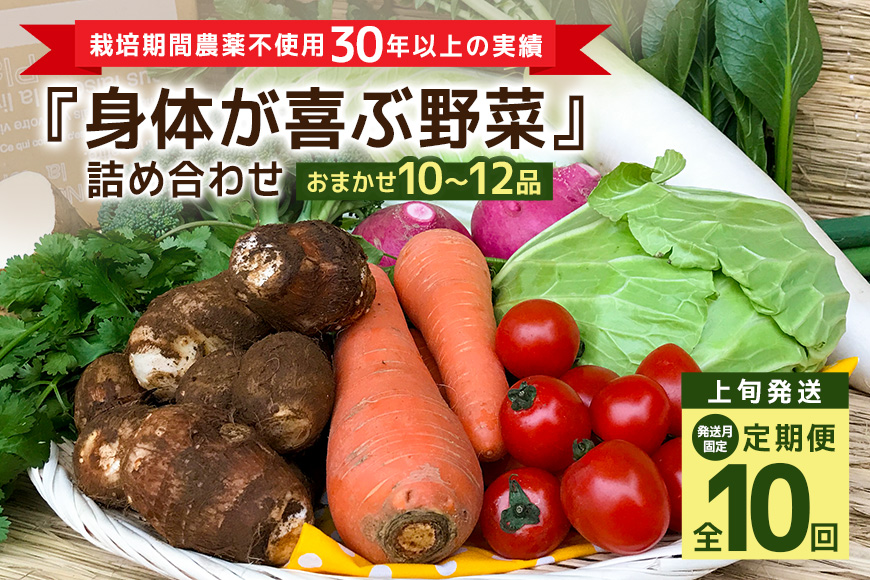 ＜発送月固定定期便＞『身体が喜ぶ野菜』詰め合わせ ( おまかせ 10～12品) 定期便 野菜 詰合せ 上旬発送全10回 詰め合わせセット お任せ 野菜定期便 季節の野菜 セット 有機栽培 EM農法 産地直送 野菜ボックス ギフト 家庭用 茨城県 潮来市 (A03-020)