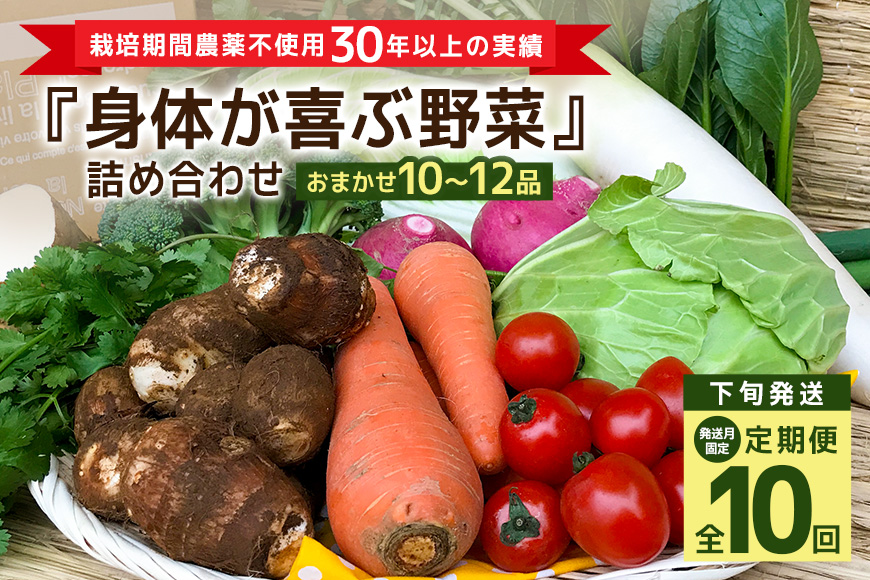 ＜発送月固定定期便＞『身体が喜ぶ野菜』詰め合わせ ( おまかせ 10～12品) 定期便 野菜 詰合せ 下旬発送全10回 詰め合わせセット お任せ 野菜定期便 季節の野菜 セット 有機栽培 EM農法 産地直送 野菜ボックス ギフト 家庭用 茨城県 潮来市 (A03-021)