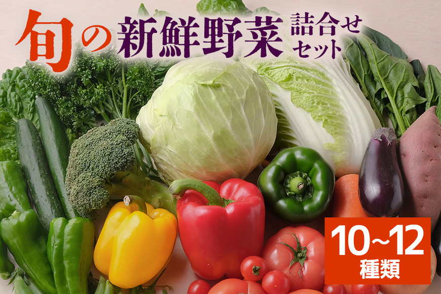 旬の新鮮野菜 詰め合わせセット 10～12種類 季節の野菜 農家直送 朝採れ 採れたて 野菜 詰合せ セット 詰め合わせ シャキシャキ 産地直送 無農薬栽培含む 道の駅いたこ 人気 贈答用 ギフト 家庭用 茨城県 潮来市 (A04-002)
