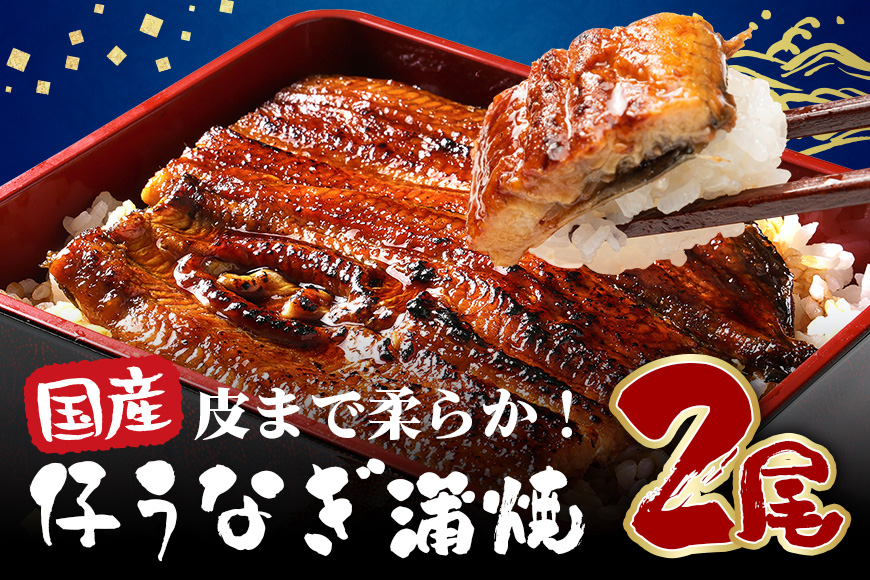 超特大!やわらか 国内産うなぎ蒲焼 220～250g 2尾 計440g以上 肉厚ジューシー ふっくら柔らか ブランド鰻使用 秘伝のタレ・山椒付き 湯煎で簡単調理 うな丼 うな重 贈答用 ギフト 冷蔵配送 茨城県 潮来市 (A23-004)