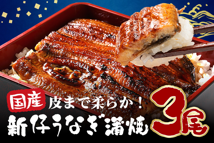 超特大!やわらか 国内産うなぎ蒲焼 220～250g 3尾 計660g以上 肉厚ジューシー ふっくら柔らか ブランド鰻使用 秘伝のタレ・山椒付き 湯煎で簡単調理 うな丼 うな重 贈答用 ギフト 冷蔵配送 茨城県 潮来市 (A23-005)