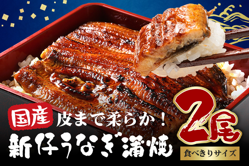やわらか国内産 うなぎ蒲焼 食べ切りサイズ! 100～120g 2尾 計200g以上 ふっくら蒲焼き ブランド鰻使用 秘伝のタレ・山椒付き 湯煎で簡単調理 うな丼 ちらし寿司 贈答用 ギフト 冷蔵配送 茨城県 潮来市 (A23-008)