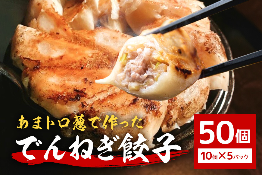 あまトロ葱使用 でんねぎ餃子 50個 (10個×5パック) 茨城県産 林SPF豚 鹿嶋ダコ オホーツク産ホタテ 銚子産キャベツ 厳選素材使用 冷凍餃子 旨味たっぷり 簡単調理 茨城県 潮来市 (A38-001)