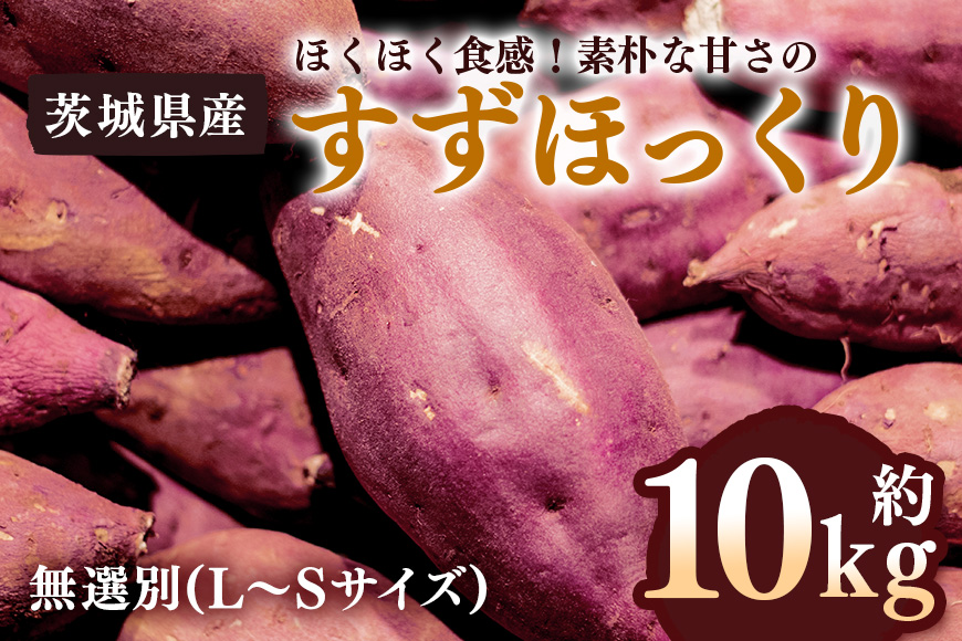 さつまいも すずほっくり 約10kg 無選別 (L～Sサイズ) 茨城県産 ホクホク 食感 焼き芋 天ぷら 大学芋 しっとり 舌触り 自然の甘み 野菜 サツマイモ 茨城県 潮来市 (A52-002)