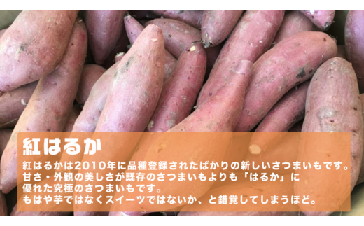 オーガニックさつまいも5kg【農薬・肥料不使用】【茨城県