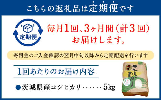 【3ヶ月定期便】コシヒカリ 5kg 計15kg 米 お米 ご飯 ごはん 