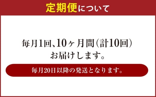 【10ヶ月定期便】アサヒ 生ビール マルエフ（合計240本）500m