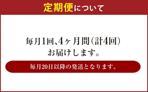 【4ヶ月定期便】アサヒ ザ・リッチ（合計96本）500ml×毎月1