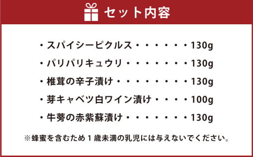 【3ヶ月定期便】なごみやお試しセット 5種 合計620g セット 