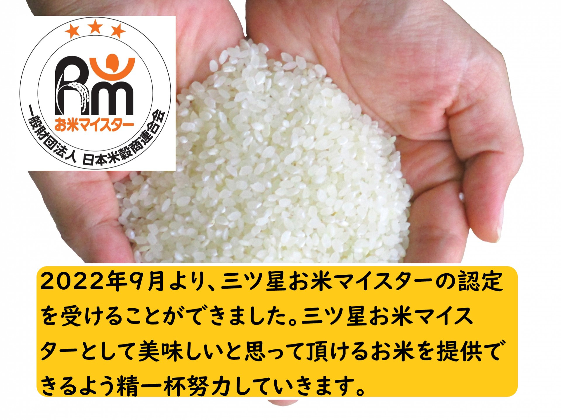 茨城県 令和4年 新米 田伏米 コシヒカリ - 米