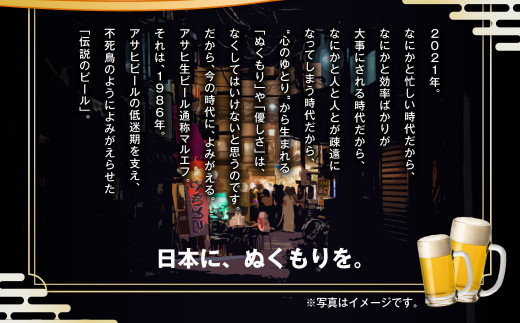 定期便【６か月】アサヒ生ビール（マルエフ）500ml×24本（1