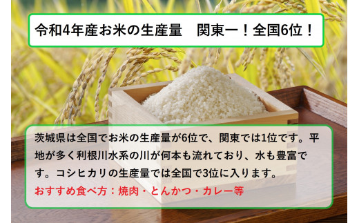 令和5年産茨城コシヒカリ　5kg【お米・コシヒカリ・米・5kg