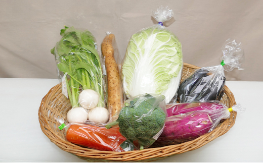 【定期便】季節の野菜セット定期便