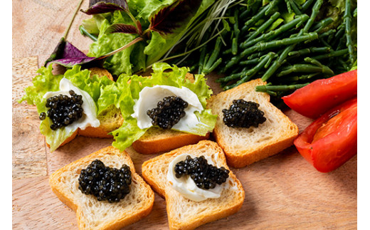 【先行予約】純国産 キャビア Voeu-Pense 20g 【茨城県共通返礼