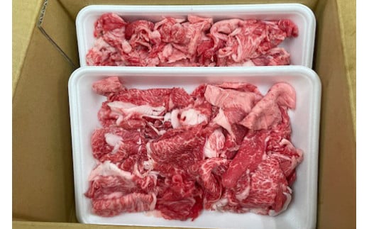 【定期便 10ヶ月】【常陸牛】切り落とし1kg（茨城県共通返