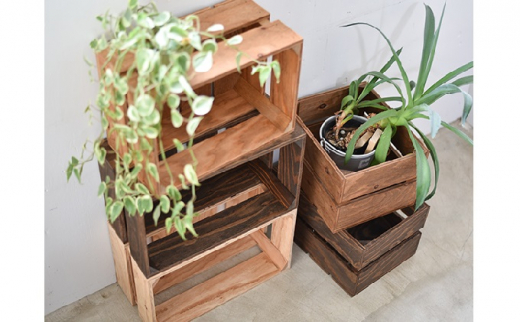 木箱 ベジタブルボックス Lサイズ 【収納ボックス 木製 お