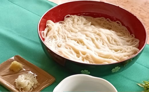 生そうめん 100g×5人前×2セット | そうめん 10人前 10食 セッ
